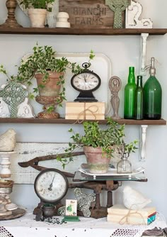 there are many plants and other things on the shelves in this room, including an old clock