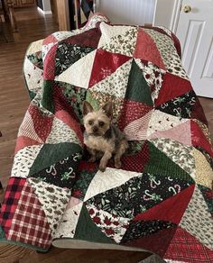 a small dog sitting on top of a quilt