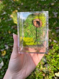 a hand holding up a small glass box with moss growing on it in the grass