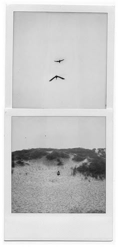 two black and white photographs of birds flying over the ocean, with one bird in the sky