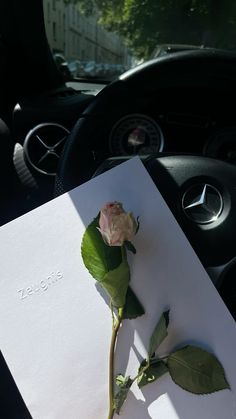 a single rose sitting on top of a piece of paper next to a car steering wheel