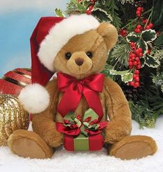 a brown teddy bear wearing a santa hat and holding a christmas present in front of a tree