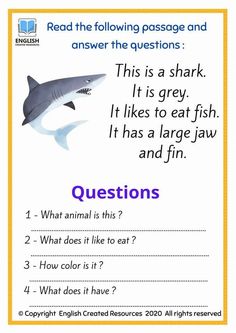 an animal quiz with questions for the shark