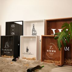 four wine boxes with labels on them sitting on a fur rug next to a potted plant