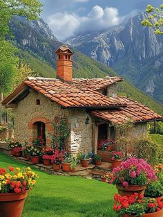 there are many potted flowers in front of the house with mountains in the background