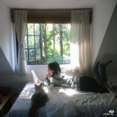 a woman laying in bed reading a book with two cats sitting on the floor next to her