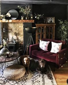 a dog sitting on the floor in front of a fire place and couch with pillows