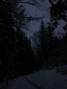 the road is covered in snow and there are trees on both sides of it at night