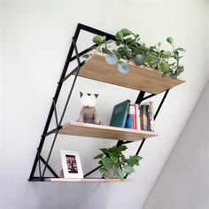 three shelves with books and plants on them