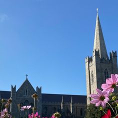 pink flowers in front of a church with a steeple on the back ground and blue sky