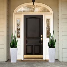 a black front door with two planters on either side