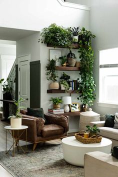 a living room filled with lots of plants on top of shelves next to a fire place