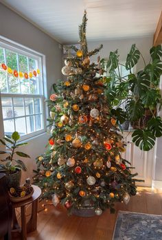 Dried Oranges Christmas Tree, Make Dried Orange Slices, Dry Orange Slices, Dry Oranges, Orange Christmas Tree, Fruit Christmas Tree, Orange Ornaments, Food Dehydrator, Tinsel Tree