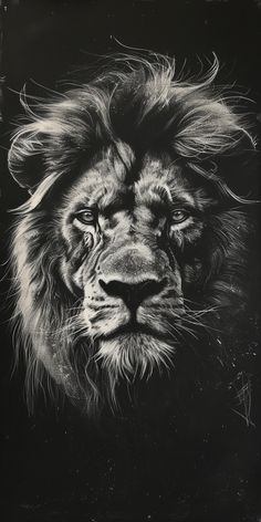 a black and white photo of a lion's face with long hair on it