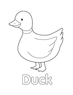 a duck that is standing on the ground with the word duck in it's center