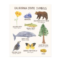 california state symbols watercolor art print 11x14 California State Symbols, California Poppy Art, Native Poppy, California Tattoo, Nature Symbols, State Symbols, Plant Art Print, California History, Poppy Print