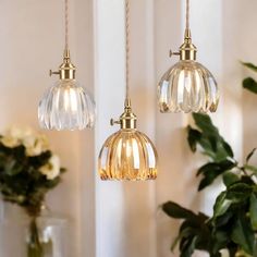 three glass lights hanging from a ceiling in a room with white walls and greenery