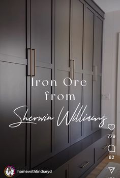 the iron one from sewni williams's closet is shown in this image