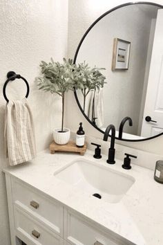 a bathroom sink with a round mirror above it and a potted plant on the counter