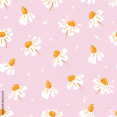 a pink background with white daisies on it