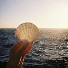 a person holding up a shell in front of the ocean