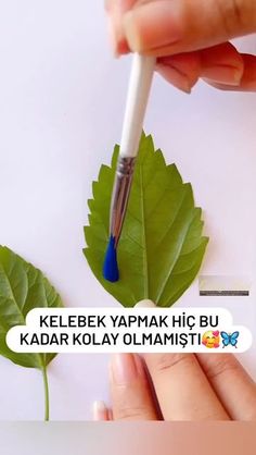 a person holding a pen and writing on a leaf with the caption kelebek yapmak hij bu kadar kolay olamaisti