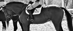 two people riding on the backs of horses in black and white photo with trees in background