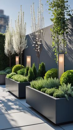 a row of planters filled with trees and bushes