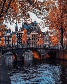 a bridge over a river with buildings in the background and autumn leaves on the trees