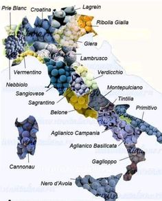 a map of italy with all the major wine regions labeled in it's different languages