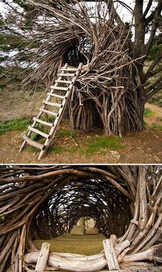 a tree house made out of branches with a ladder going up the top and bottom