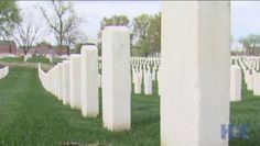 a cat laying in the grass next to rows of headstones