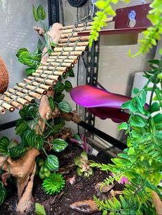 a tree house made out of bamboo sticks and other items in a garden with plants