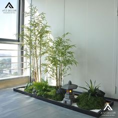 an indoor garden with bamboo trees and rocks