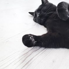 a black cat is laying on the floor with its head resting on it's back