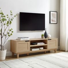 a living room with a large flat screen tv mounted on the wall next to a potted plant