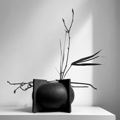 a black and white photo of a vase on a shelf with branches sticking out of it