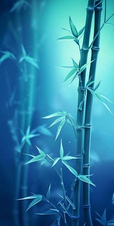 a bamboo tree in the middle of some water