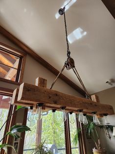 a chandelier hanging from the ceiling in a room with windows and potted plants