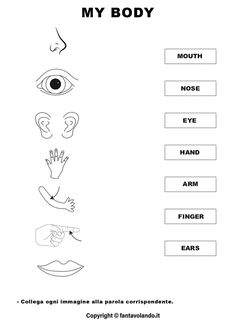 the body worksheet is shown in black and white with an eye on it