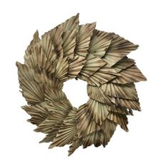 a circular object made out of leaves on a white background