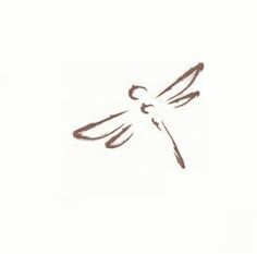 a drawing of a dragonfly on a white background