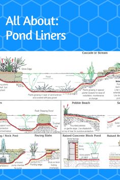 the diagram shows all about pond liners