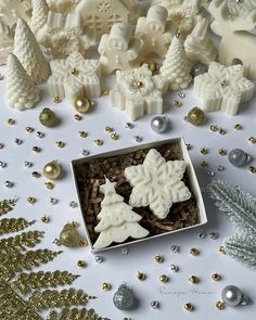 two snowflake cookies in a box surrounded by christmas decorations