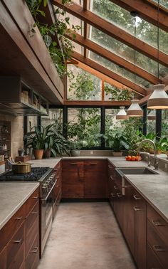 a kitchen with lots of plants in it