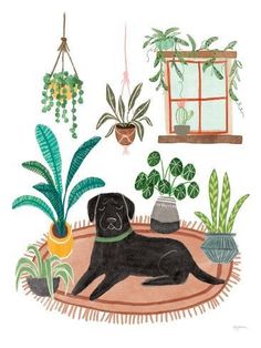 a black dog laying on top of a rug next to plants and potted plants