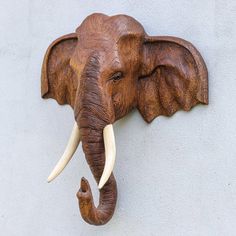 an elephant head mounted to the side of a wall