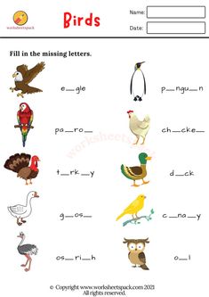 an image of birds in the missing letters