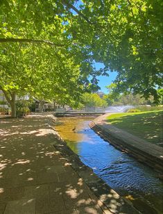 a river running through a lush green park