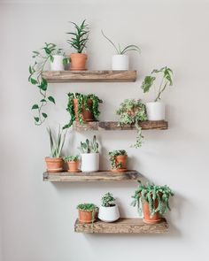 home ideas Float Shelf, Zimmer Diy, Diy Hanging Shelves, Floating Shelves Diy, Bohemian Hairstyles, Shelves In Bedroom, Estantes Flotantes